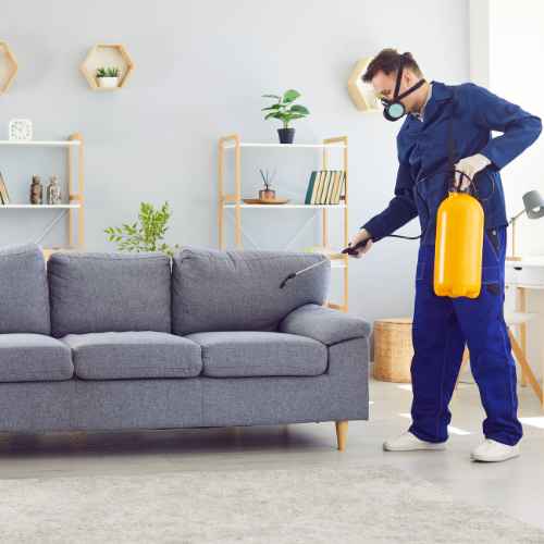 Flies & Mosquito Contro