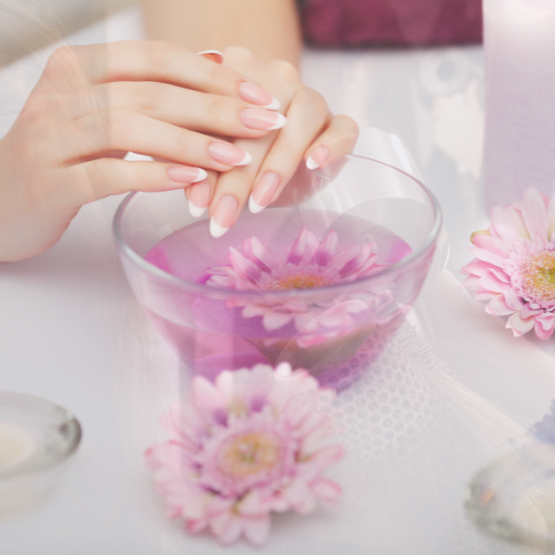 Luxury Salon for Women