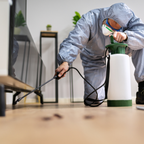 Cockroach, Ant & Bed Bugs
