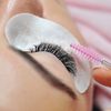 Lashes Extensions