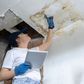 Painters